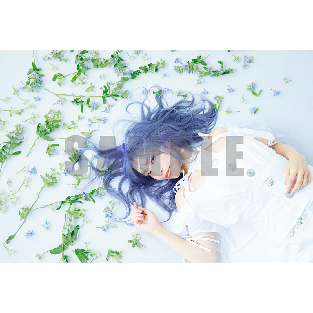 【限定特典&プレゼントキャンペーン実施】miwa 15th SPECIAL ARTIST BOOK 特装版