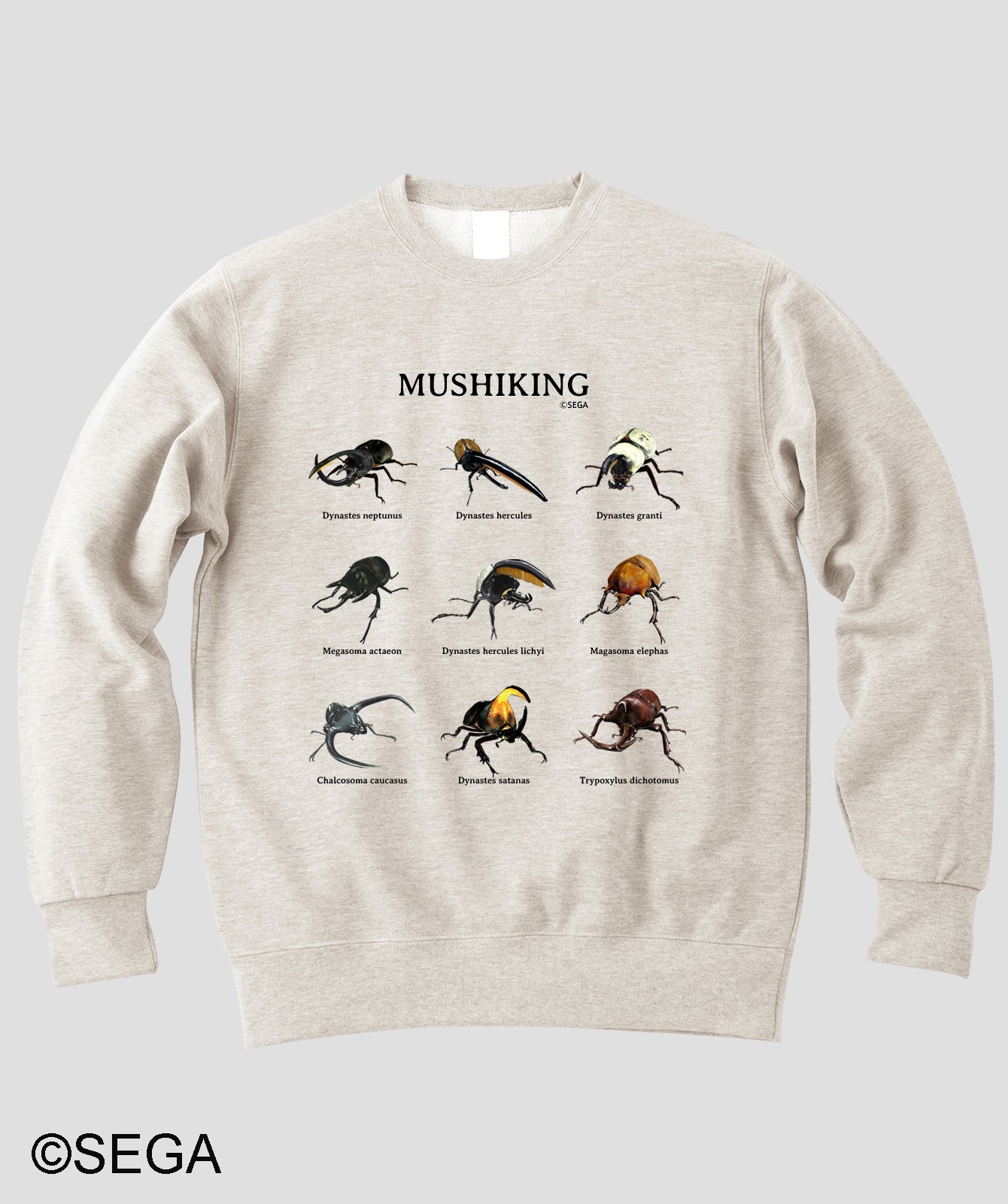 ムシキングスウェット 9種の甲虫 カブトムシVer.