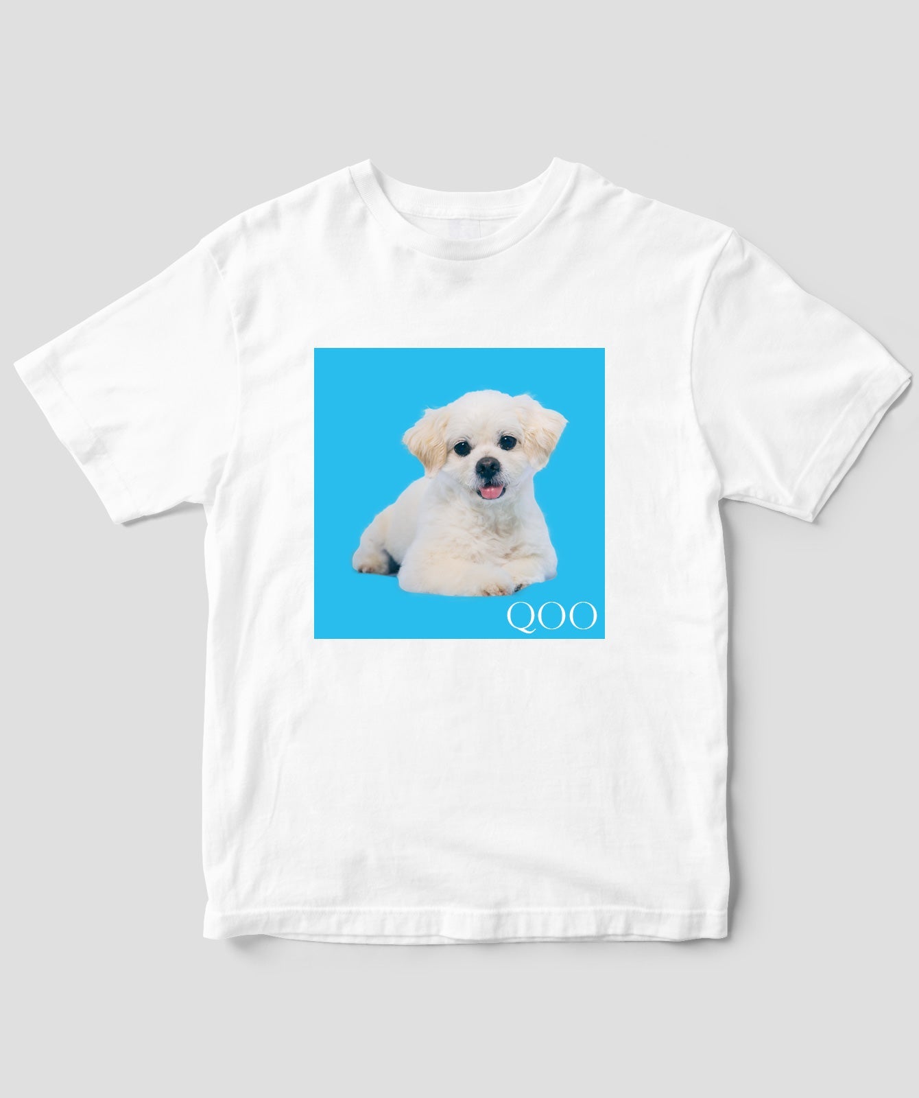 愛犬QOOちゃんTシャツ／風見和香（私立恵比寿中学）