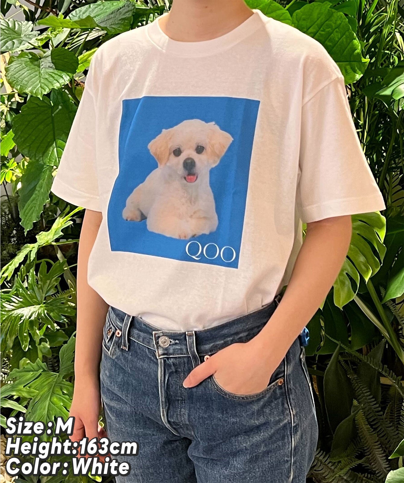 愛犬QOOちゃんTシャツ/風見和香(私立恵比寿中学)