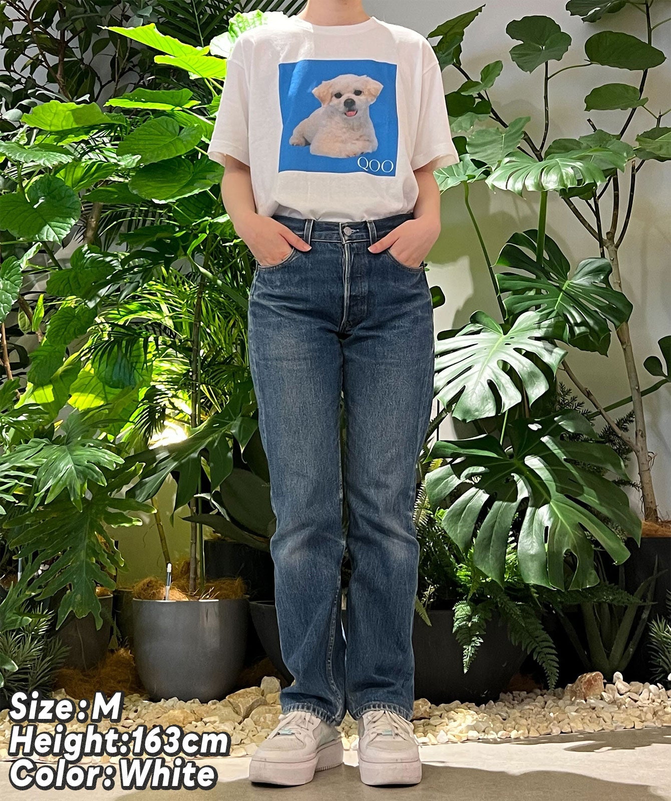 愛犬QOOちゃんTシャツ/風見和香(私立恵比寿中学)