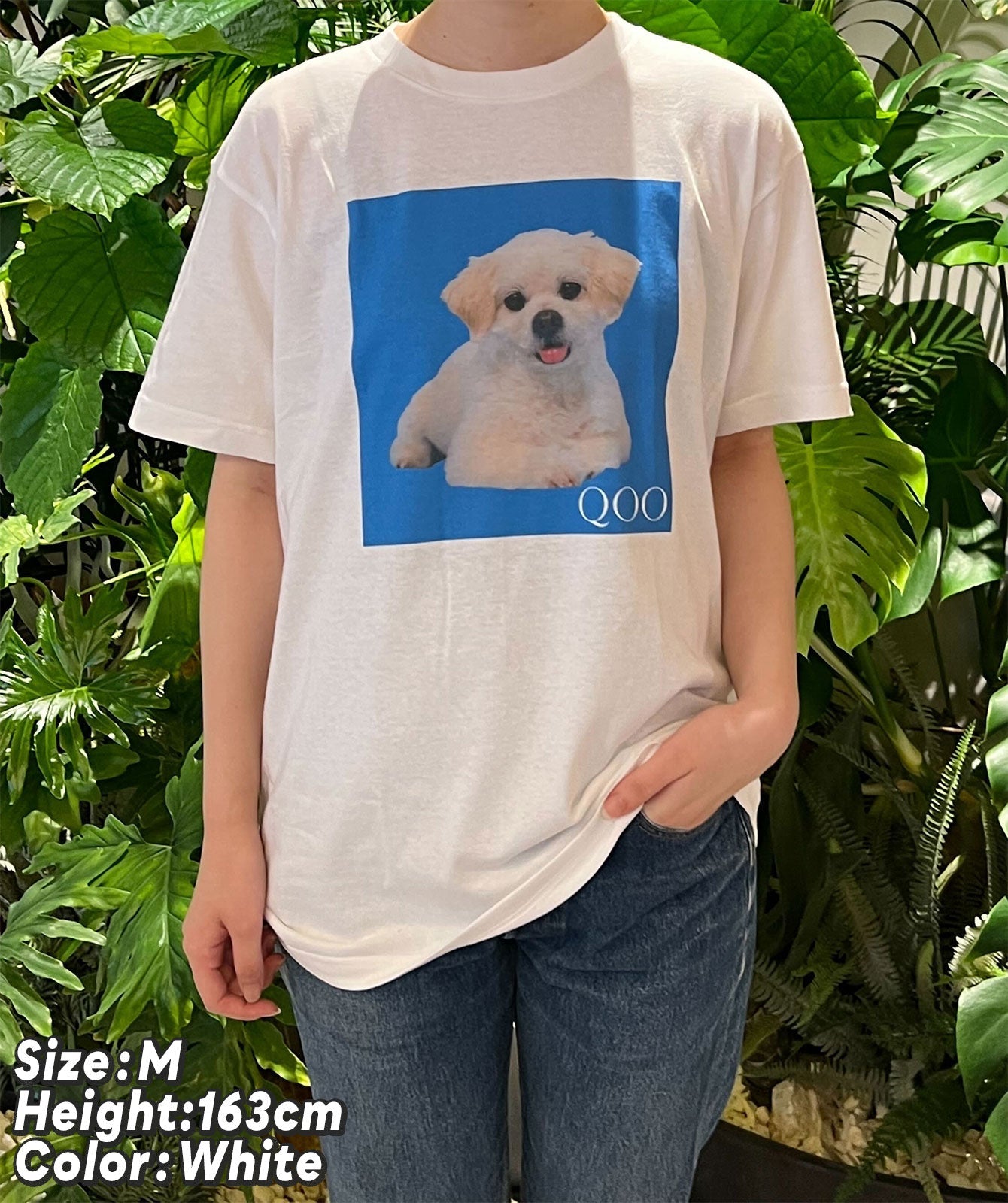 愛犬QOOちゃんTシャツ/風見和香(私立恵比寿中学)