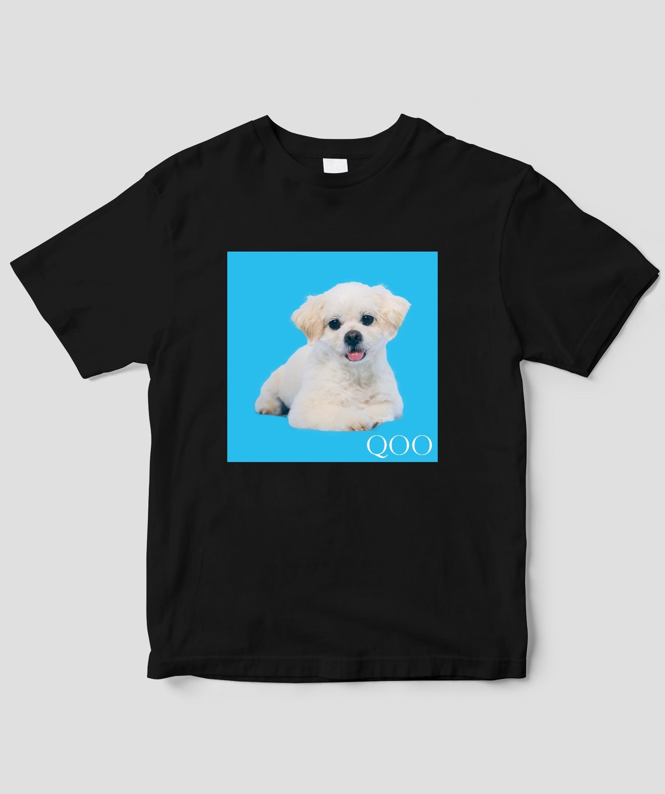 愛犬QOOちゃんTシャツ/風見和香(私立恵比寿中学)