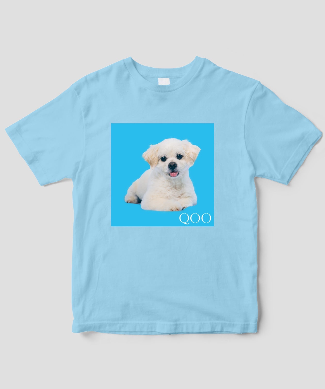 愛犬QOOちゃんTシャツ/風見和香(私立恵比寿中学)