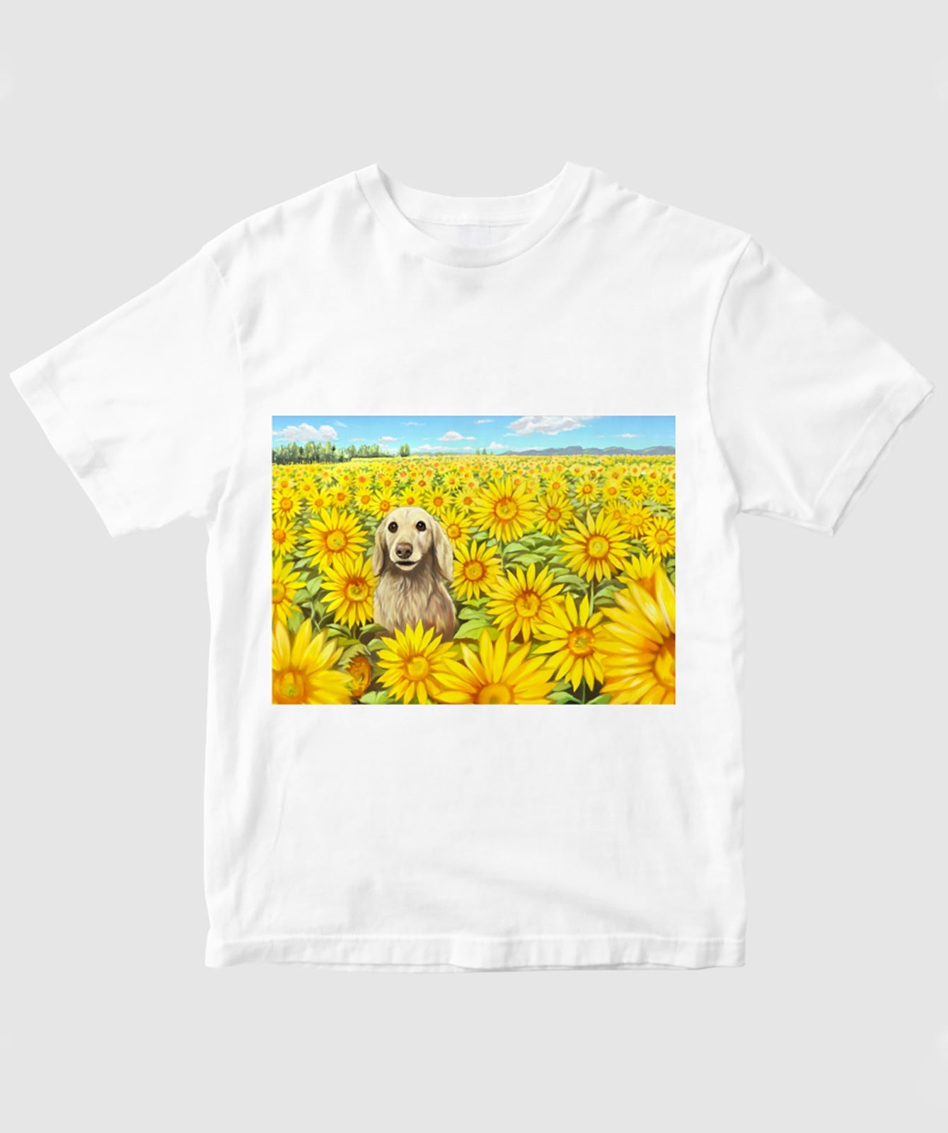 SUNFLOWER / やまもとゆうじ