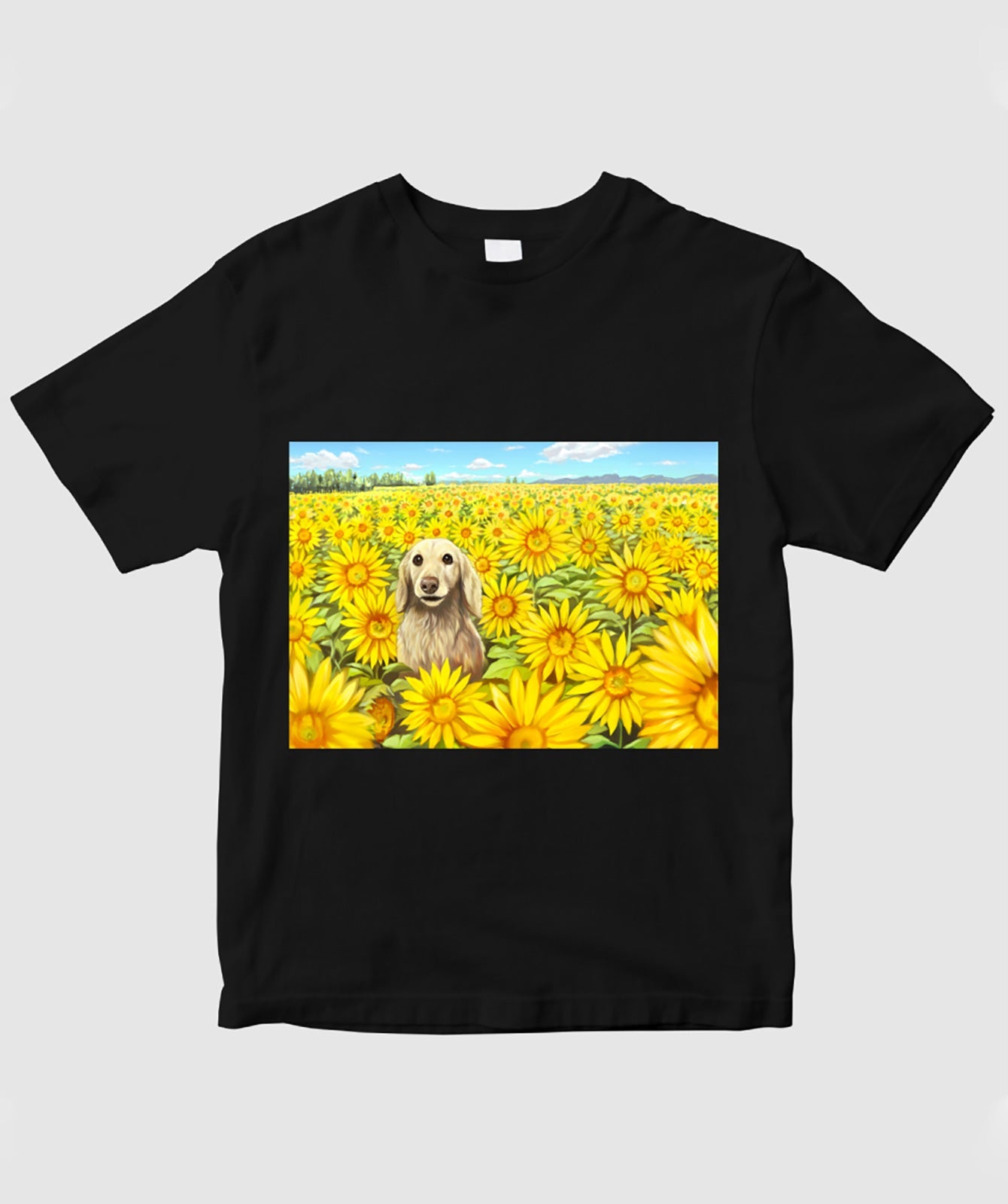 SUNFLOWER / やまもとゆうじ
