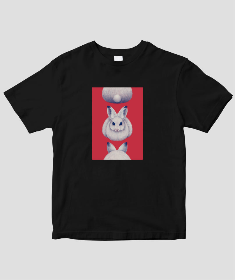 Round Rabbit / crony cony