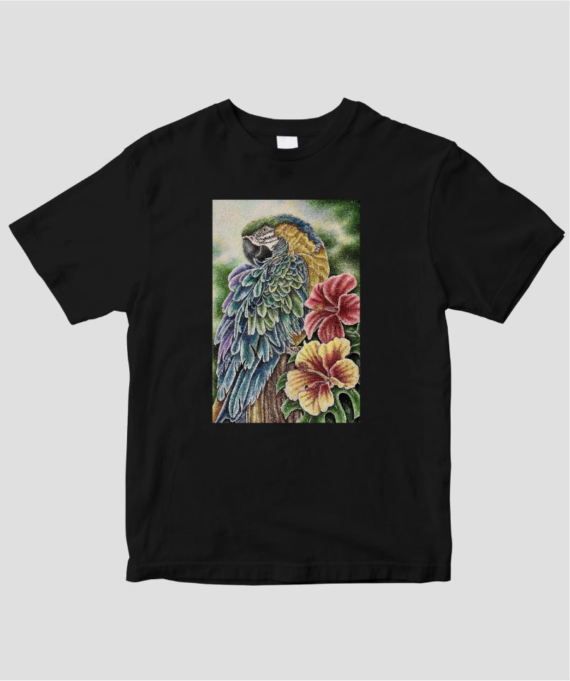 Blue-and-yellow macaw / 美礼