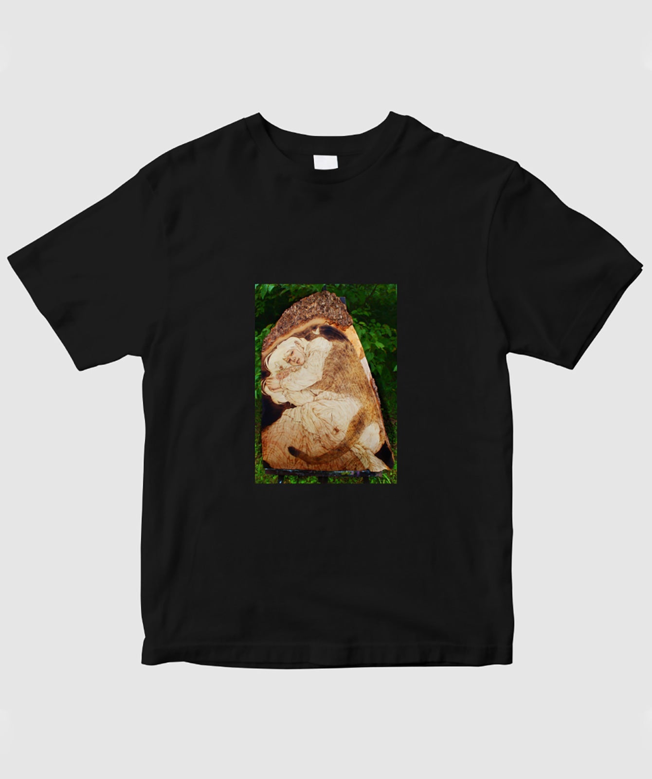 胡蝶の夢 / 佐藤結