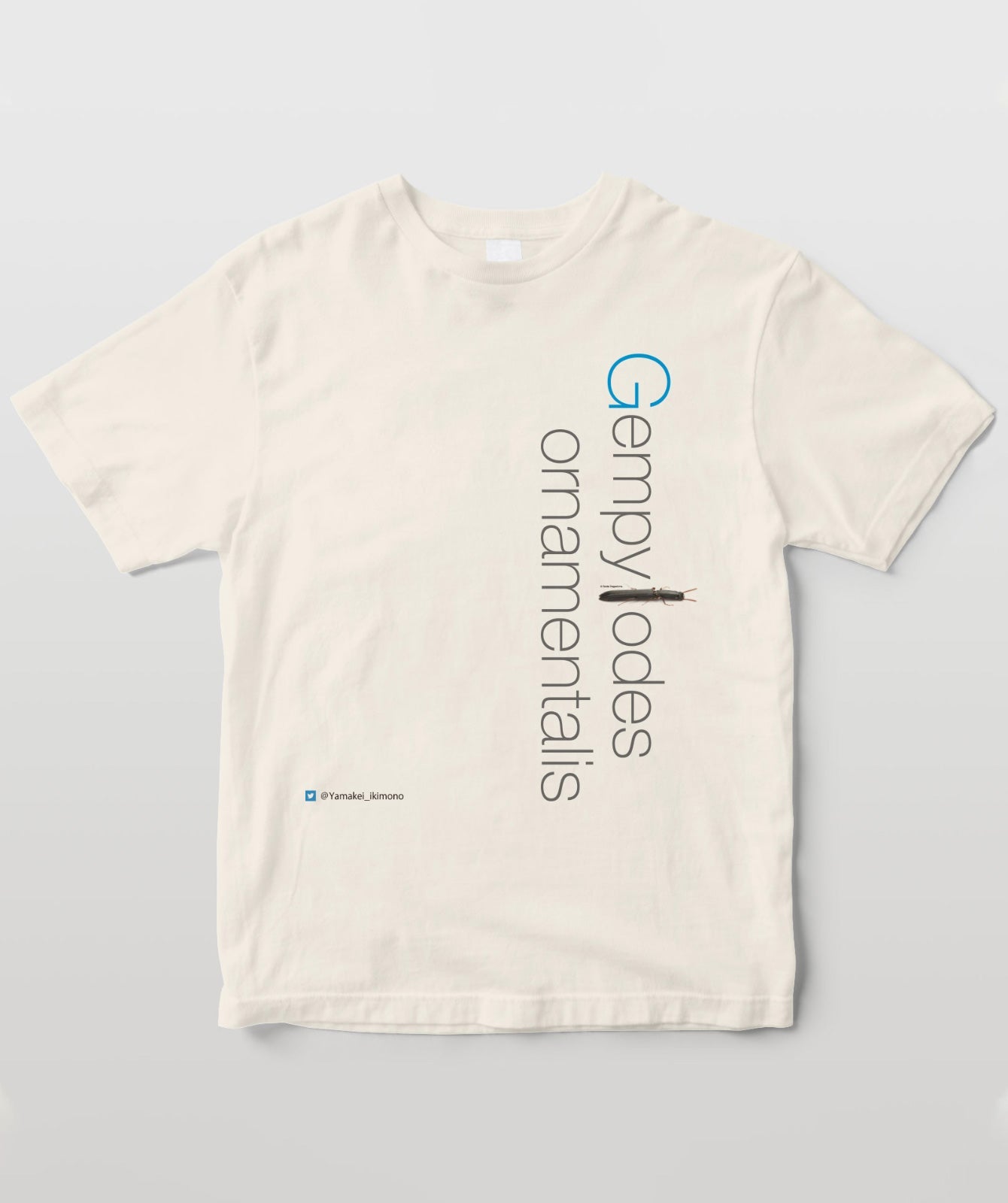 ルイスホソカタムシ