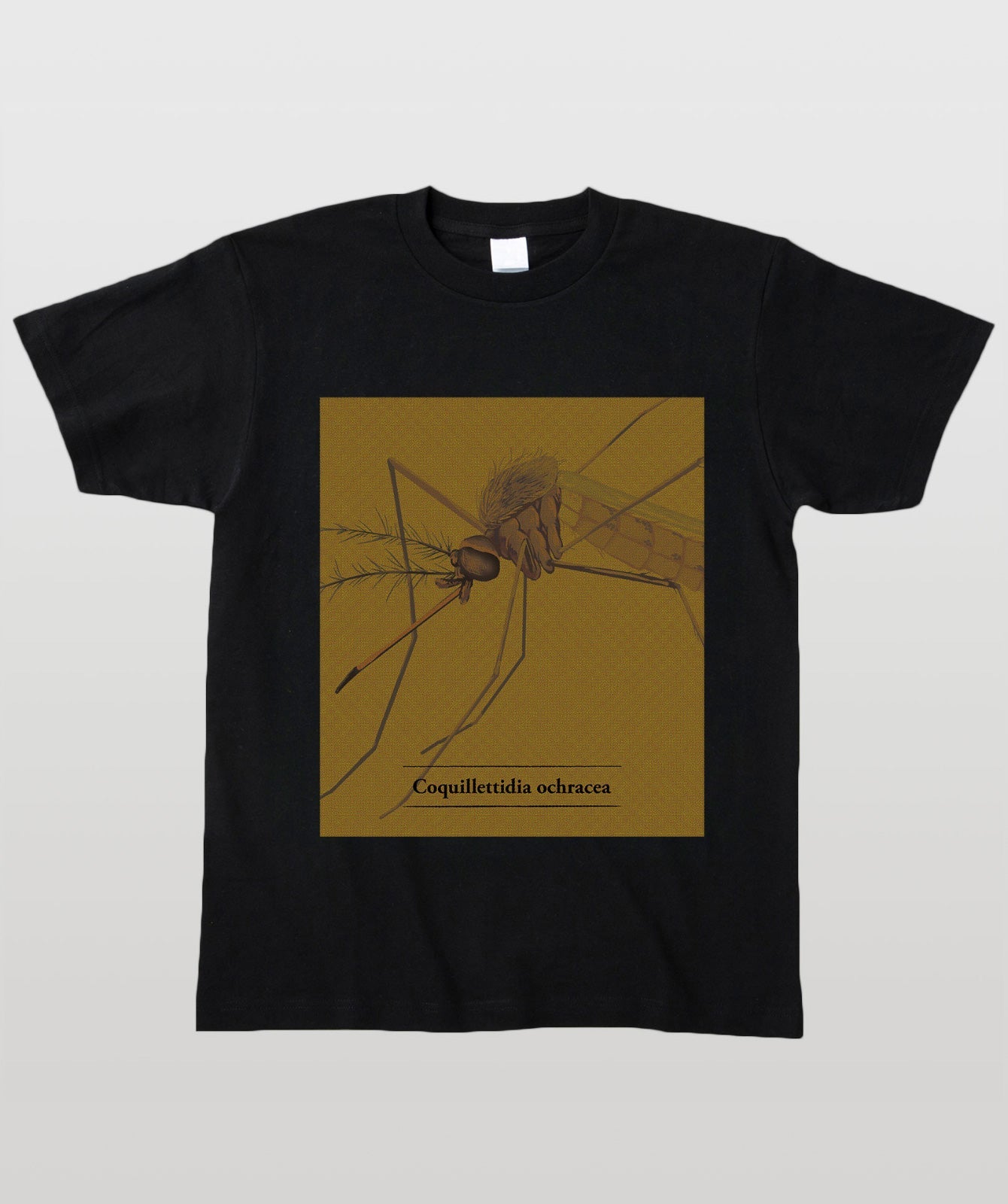 蚊Tシャツ・キンイロヌマカ