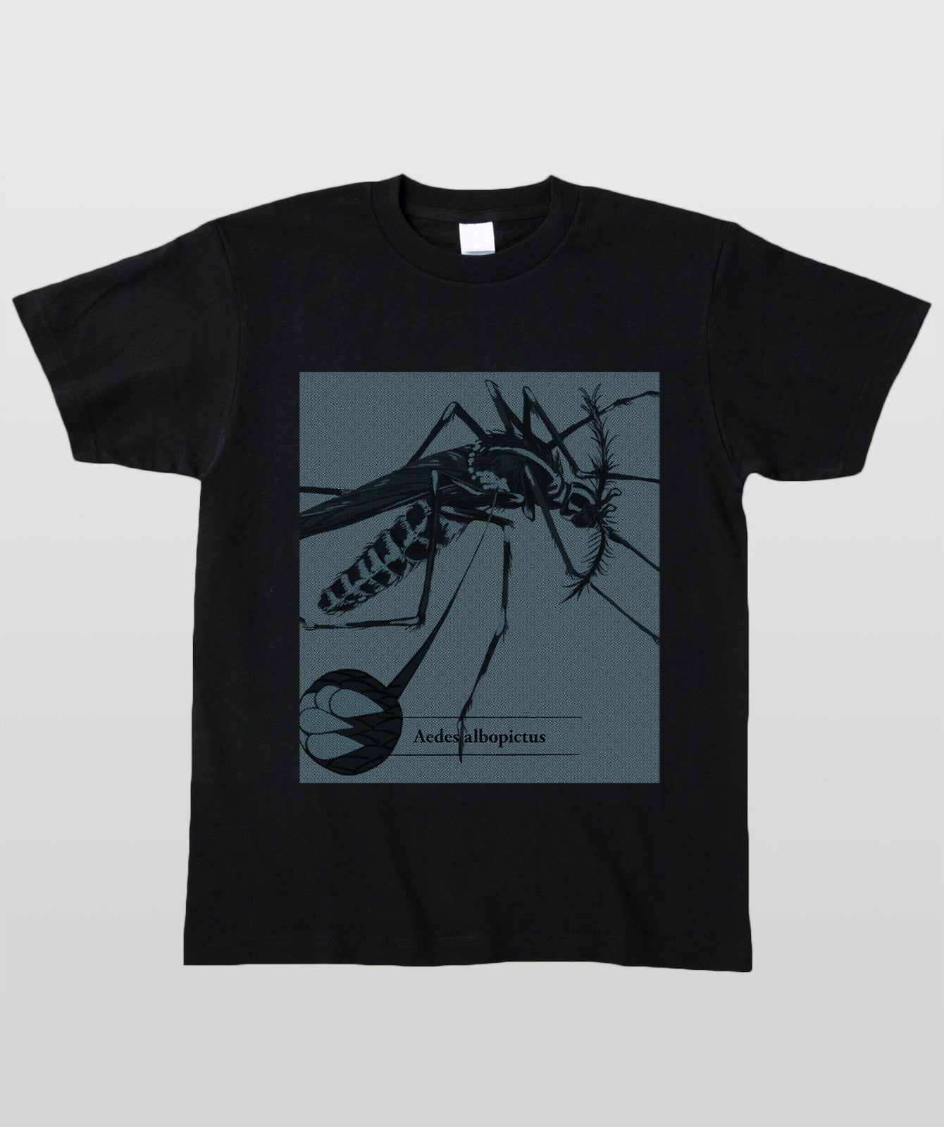 蚊Tシャツ・ヒトスジシマカ