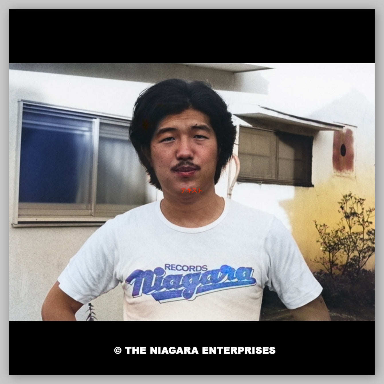 NIAGARA RECORDS LOGO