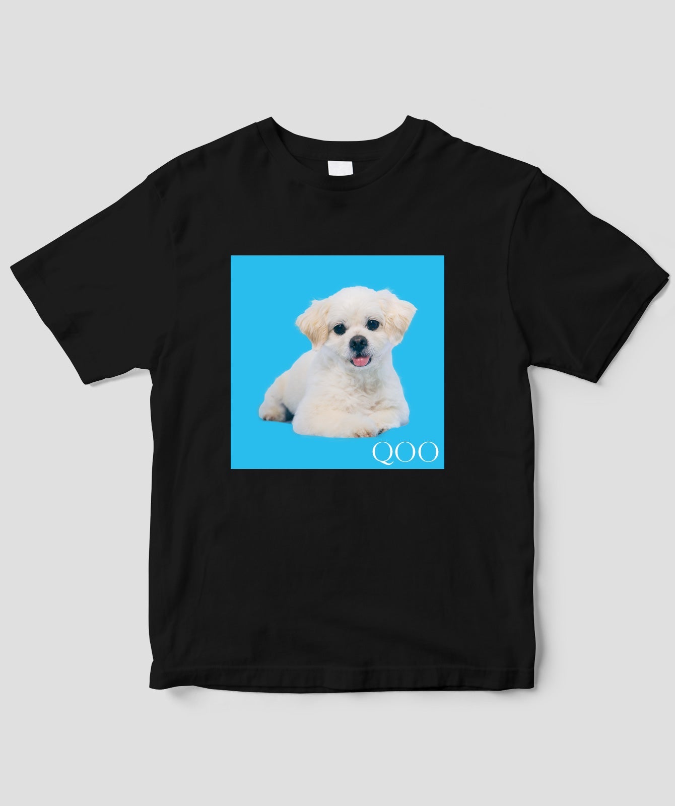 愛犬QOOちゃんTシャツ／風見和香（私立恵比寿中学）