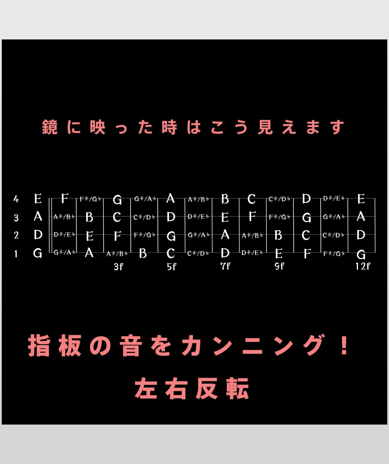 指板の音をカンニング！ベース編 左右反転（半袖）